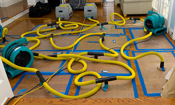 Professional Water Extraction technician working in Los Altos, CA